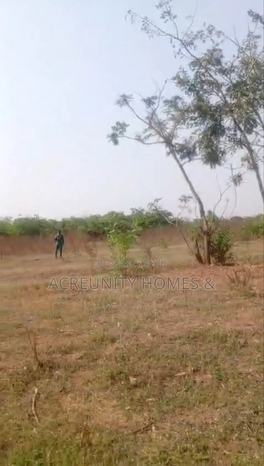 10 Acres of Farmland for Sale Behind Ibrahim Chatta Film Village in Oyo / Oyo