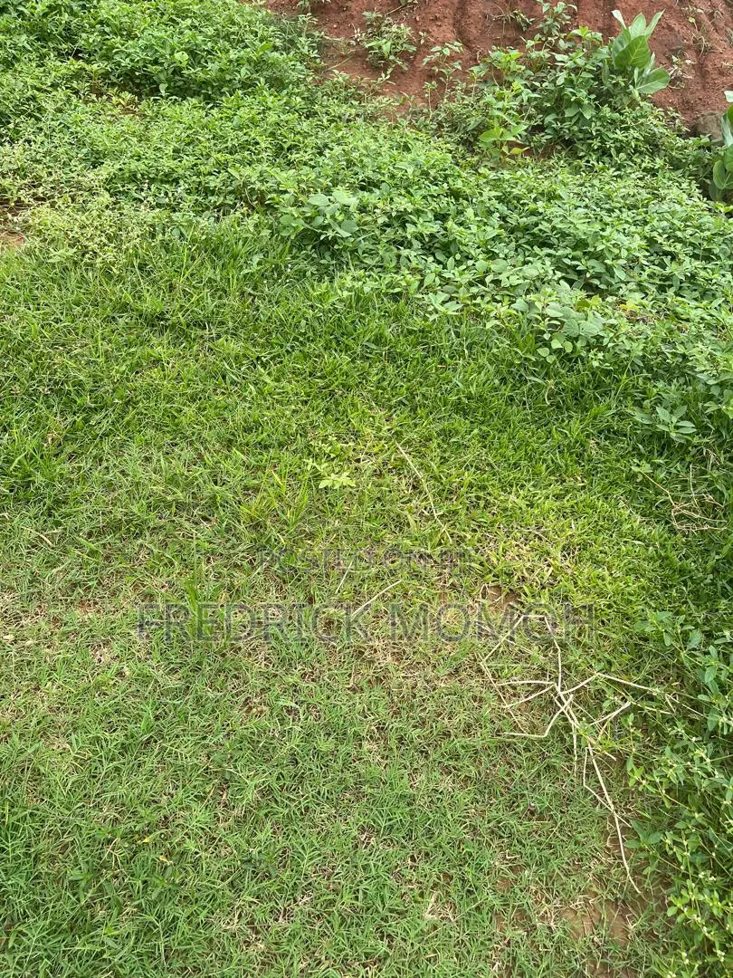 FCDA C of O Land for Sale at Apo Wassa in Wasa