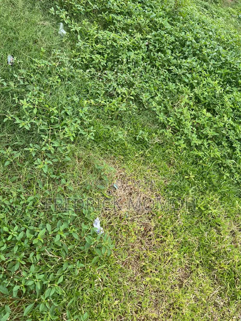 FCDA C of O Land for Sale at Apo Wassa in Wasa