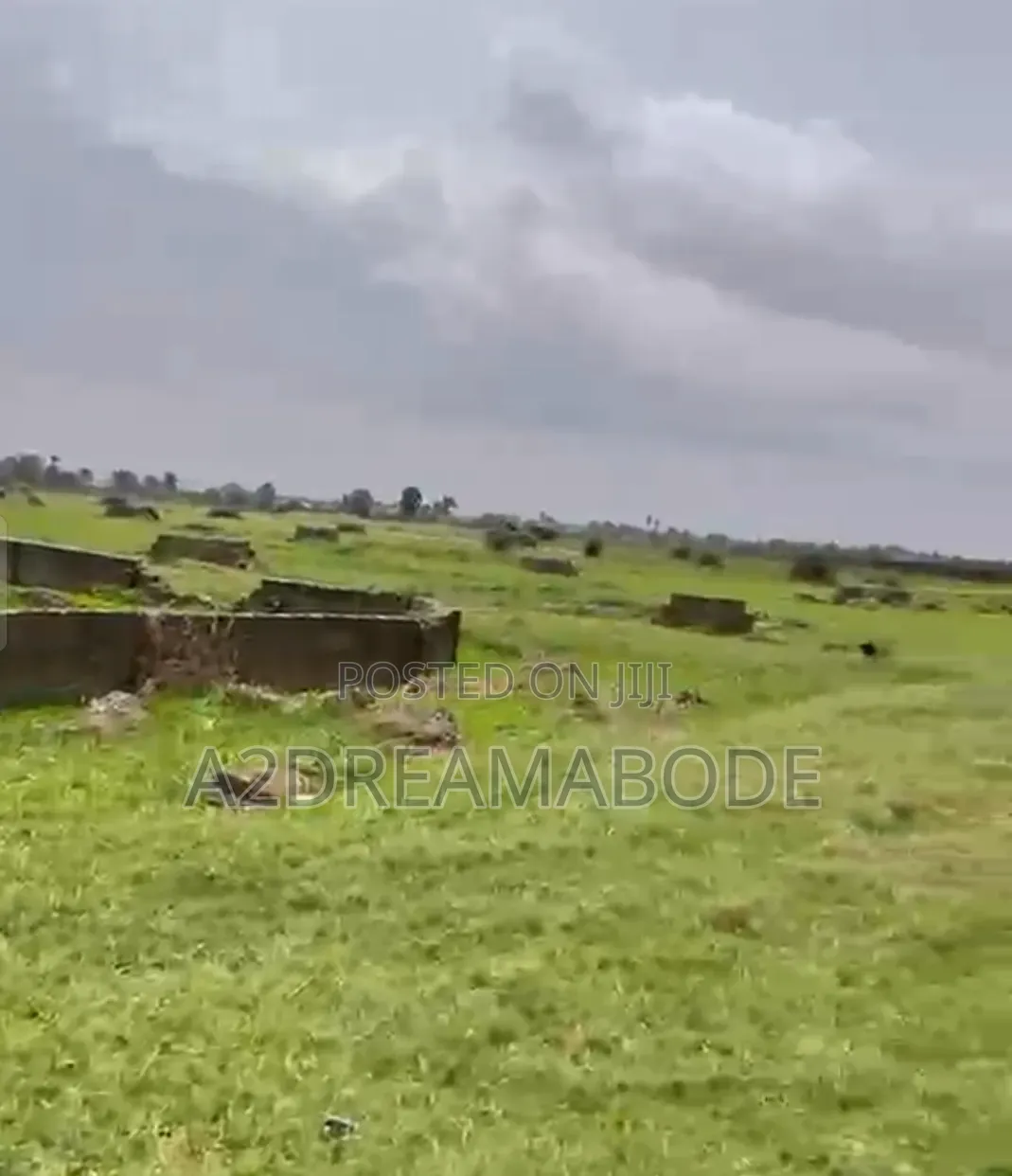 Nicely Placed Plot in Isheri North