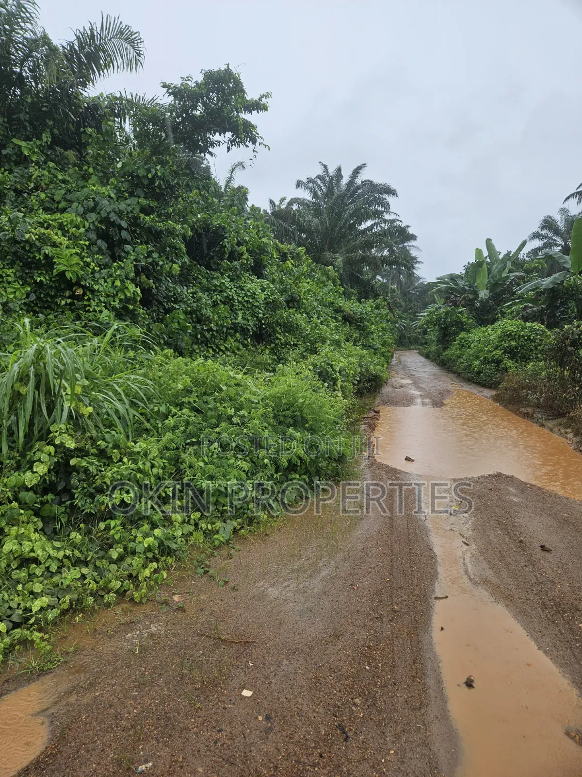 Acres of Land at Alajue Beside Osun Airport in Osogbo