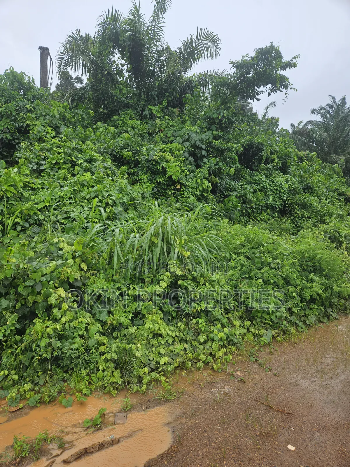 Acres of Land at Alajue Beside Osun Airport in Osogbo