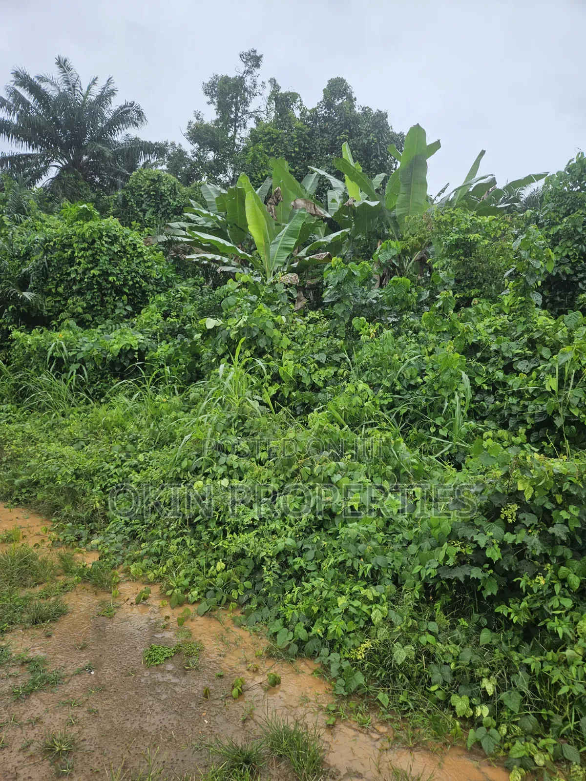 Acres of Land at Alajue Beside Osun Airport in Osogbo