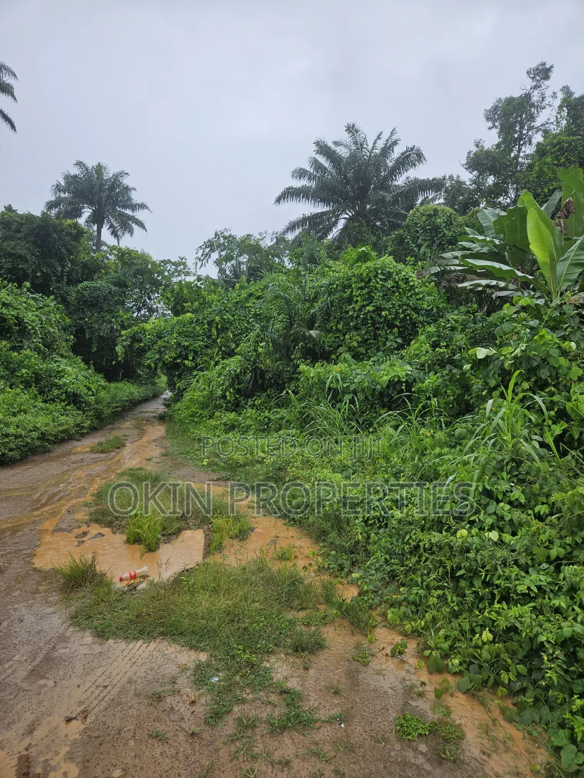 Acres of Land at Alajue Beside Osun Airport in Osogbo