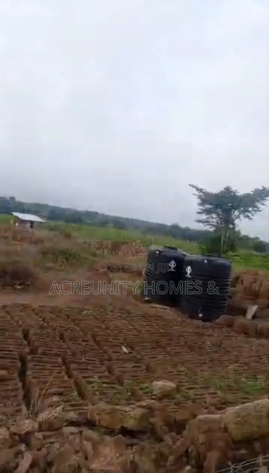 20 Acres of Fertile Farmland at Oniwinde Village, Oyo State in Oyo / Oyo