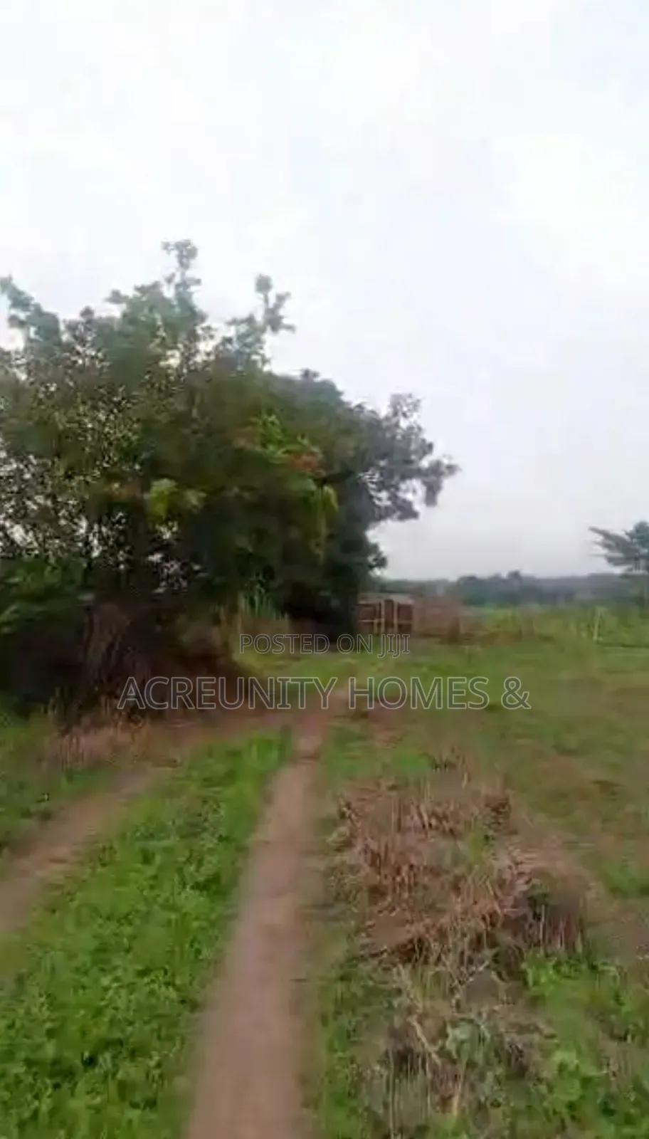 20 Acres of Fertile Farmland at Oniwinde Village, Oyo State in Oyo / Oyo