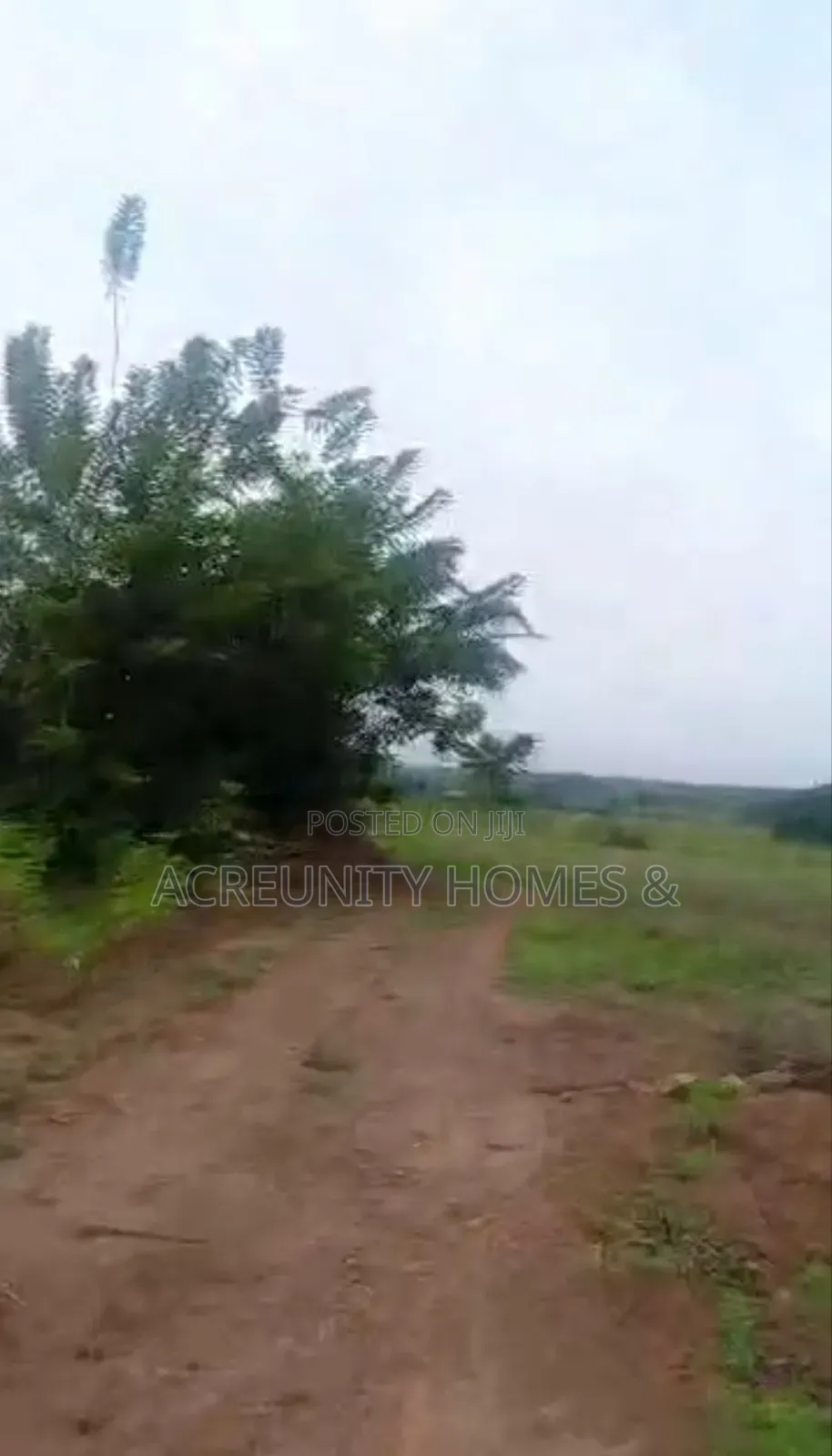 20 Acres of Fertile Farmland at Oniwinde Village, Oyo State in Oyo / Oyo