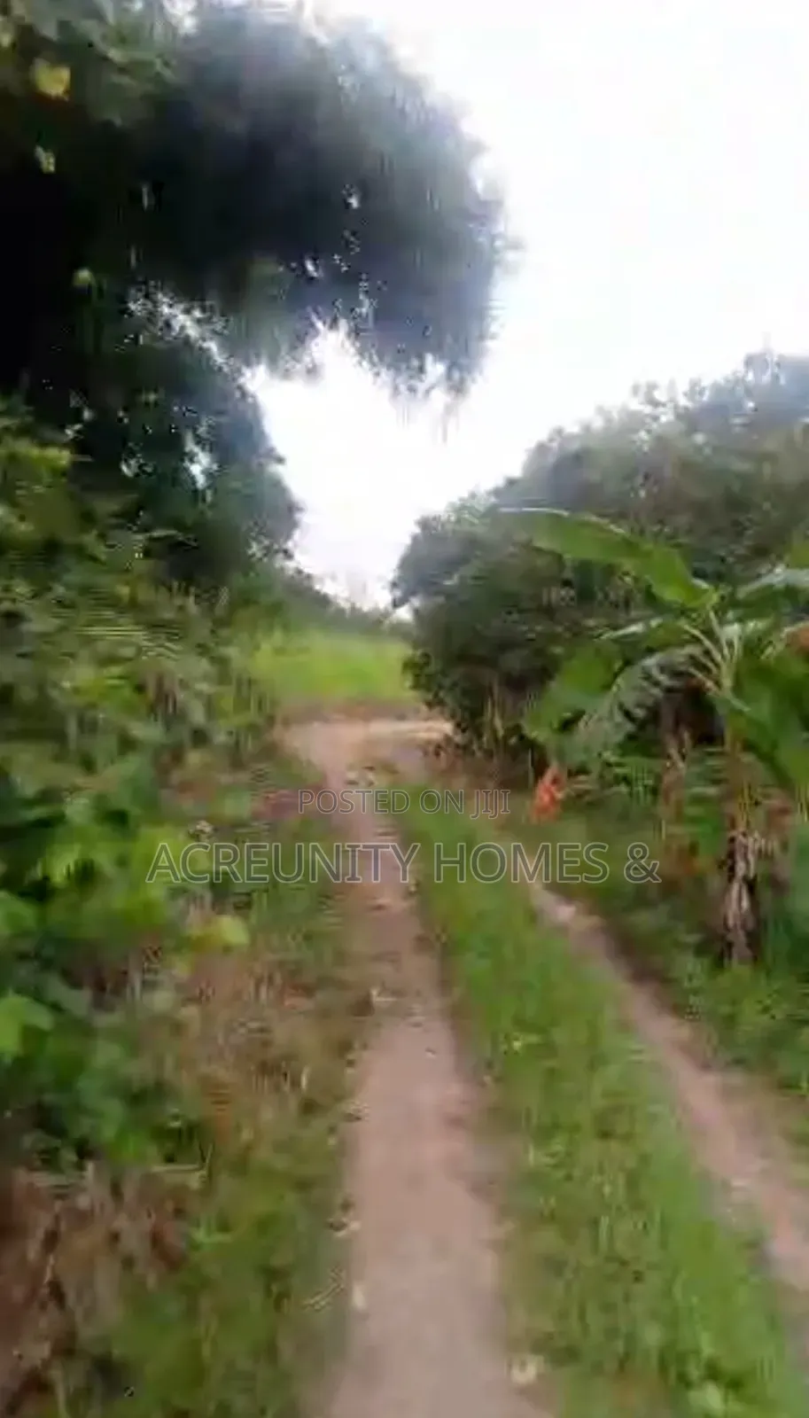 20 Acres of Fertile Farmland at Oniwinde Village, Oyo State in Oyo / Oyo
