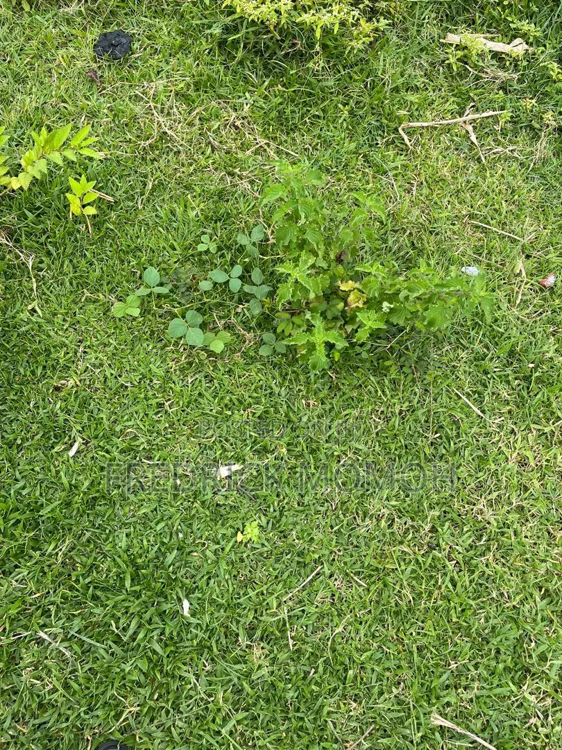450sqm FCDA C of O Land for Sale at Apo Wassa FCT Abuja in Wasa