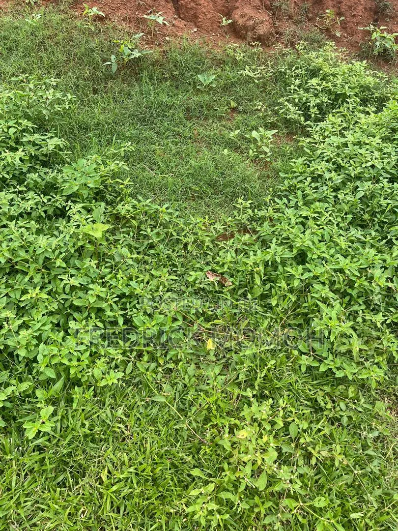 450sqm FCDA C of O Land for Sale at Apo Wassa FCT Abuja in Wasa