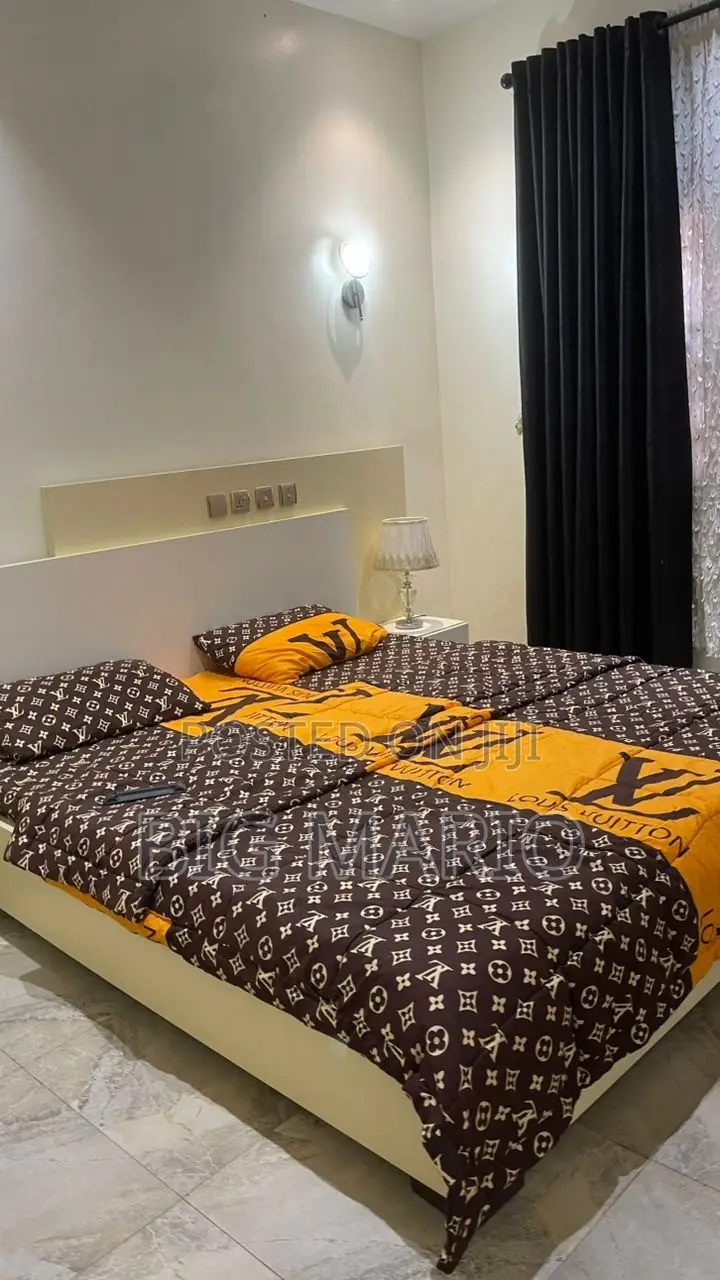 Furnished 1bdrm Apartment in Asokoro Extension for rent in Asokoro