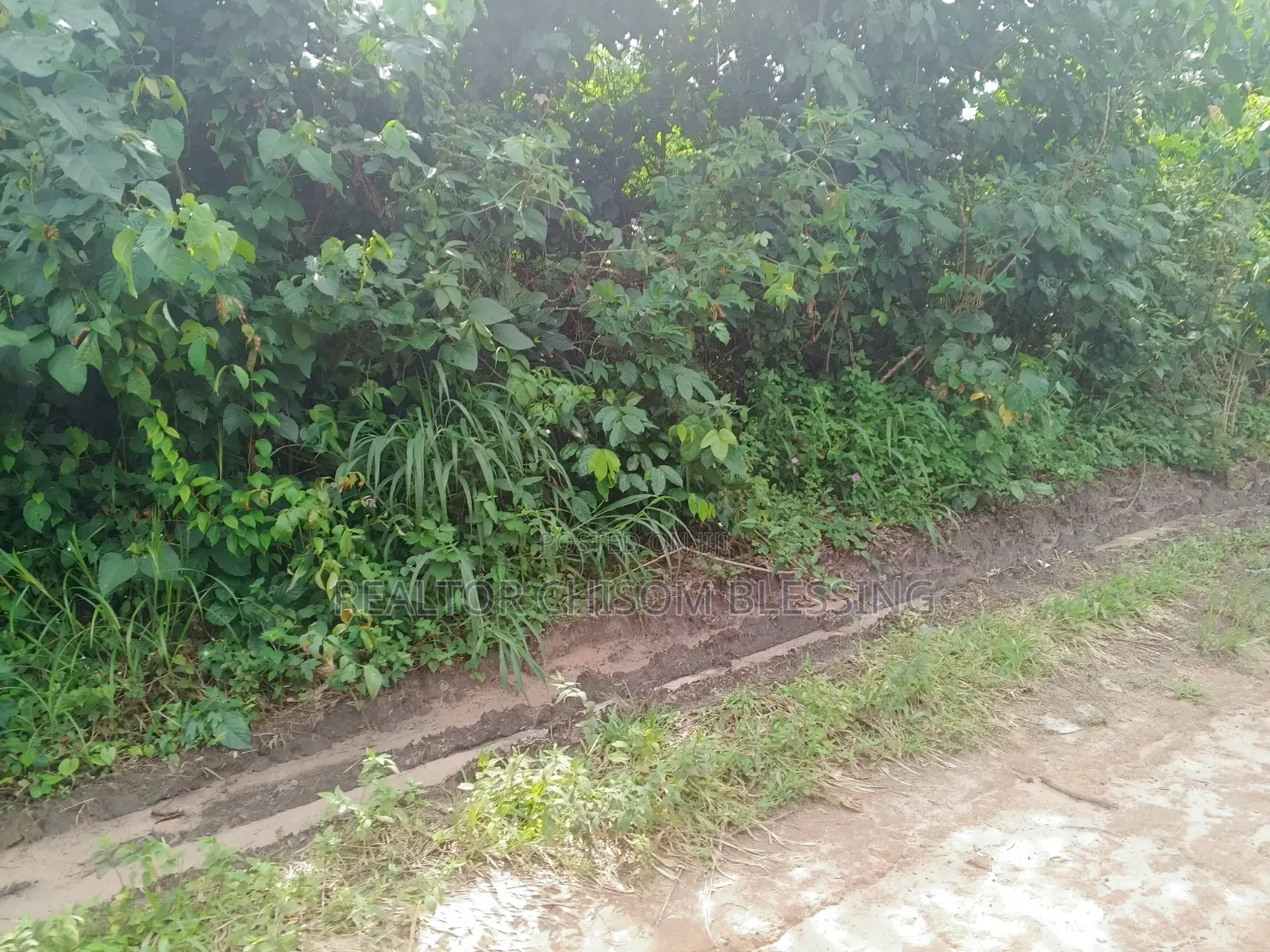 2 Plots for Sale in Nsukwe Right at Oakwood Junction Umuahia in Umuahia