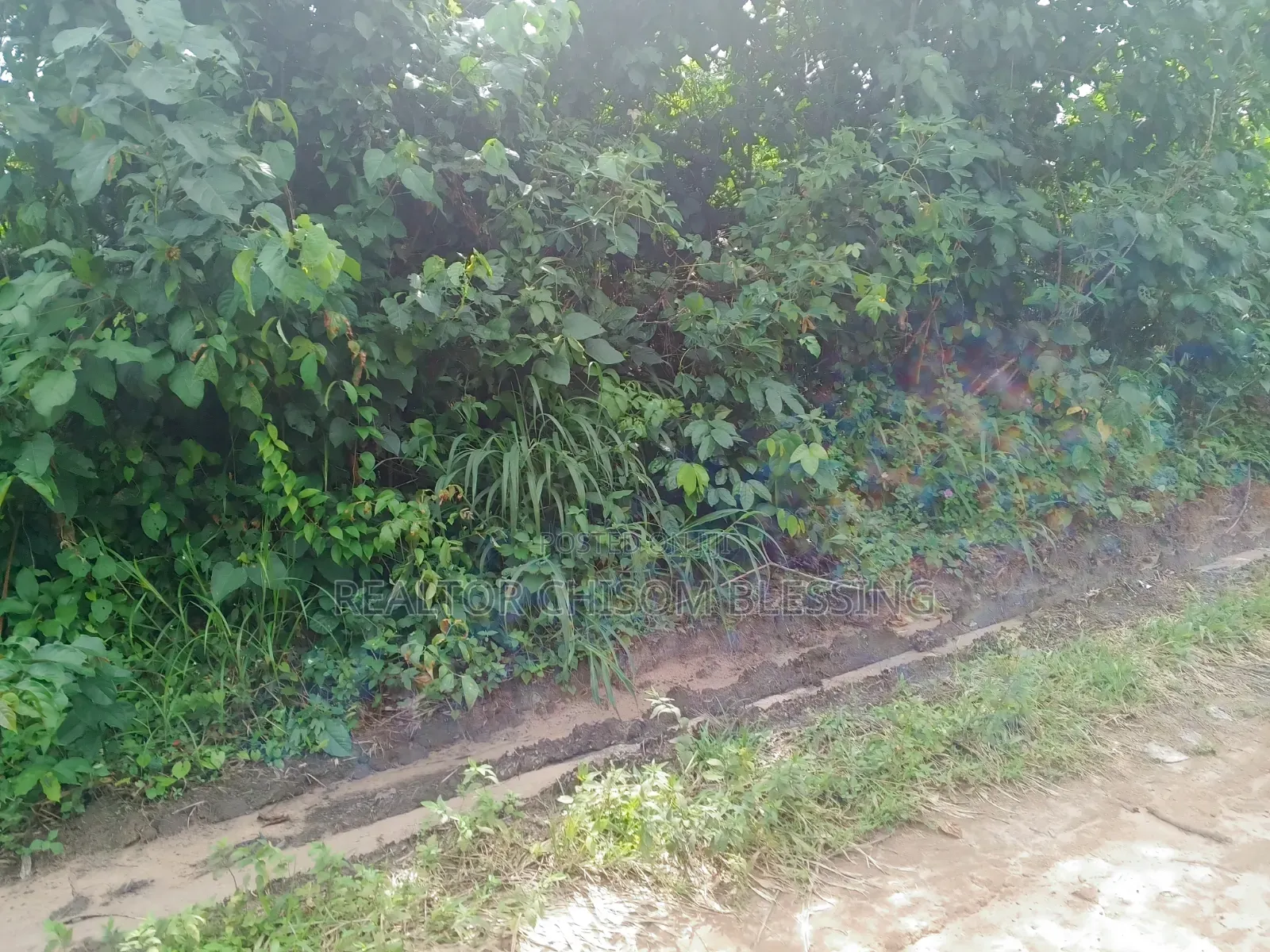 2 Plots for Sale in Nsukwe Right at Oakwood Junction Umuahia in Umuahia