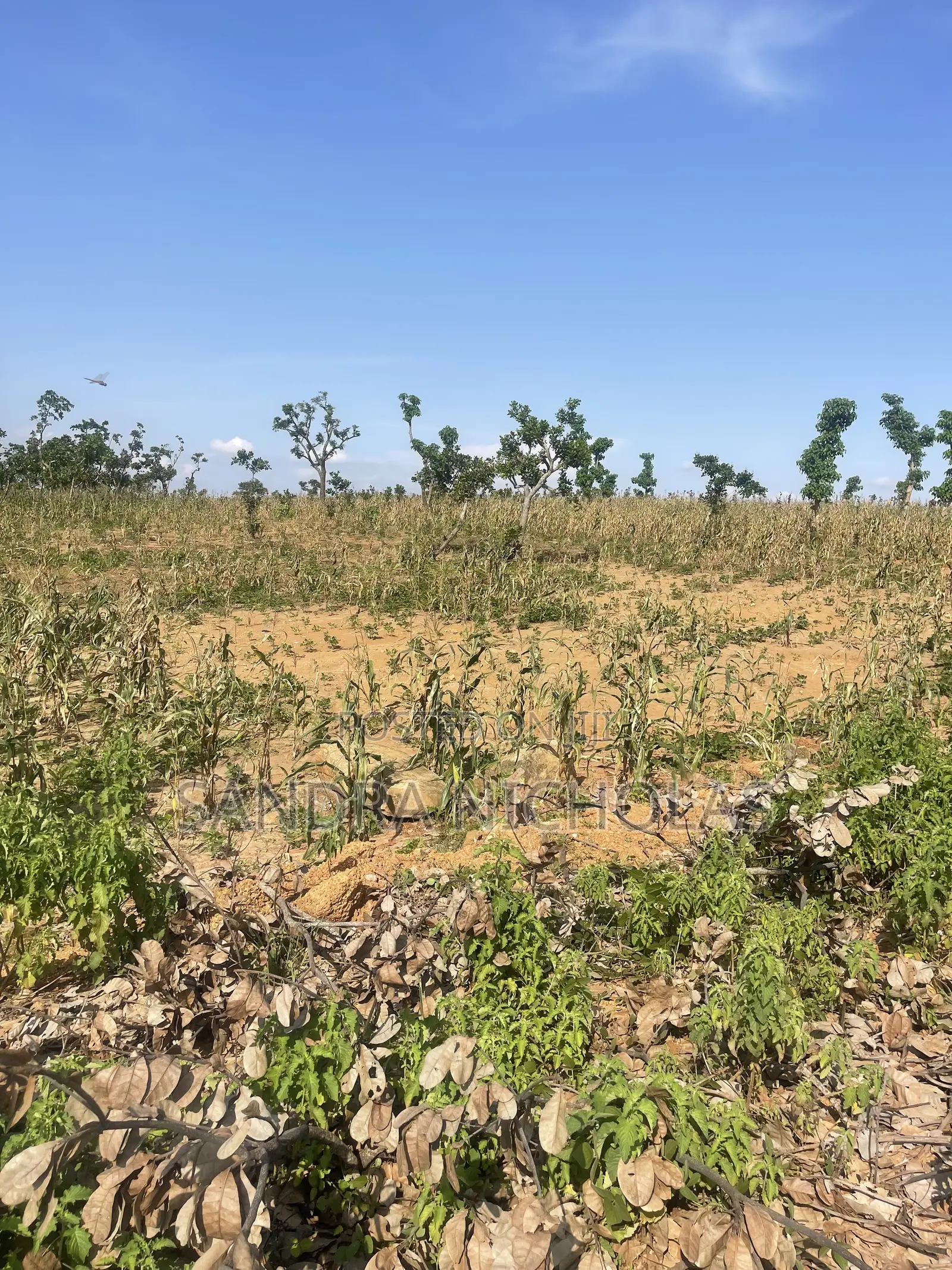 500qm Estate Plot for a 4 Bedroom Fully Detached Penthouse and Bq in Guzape District