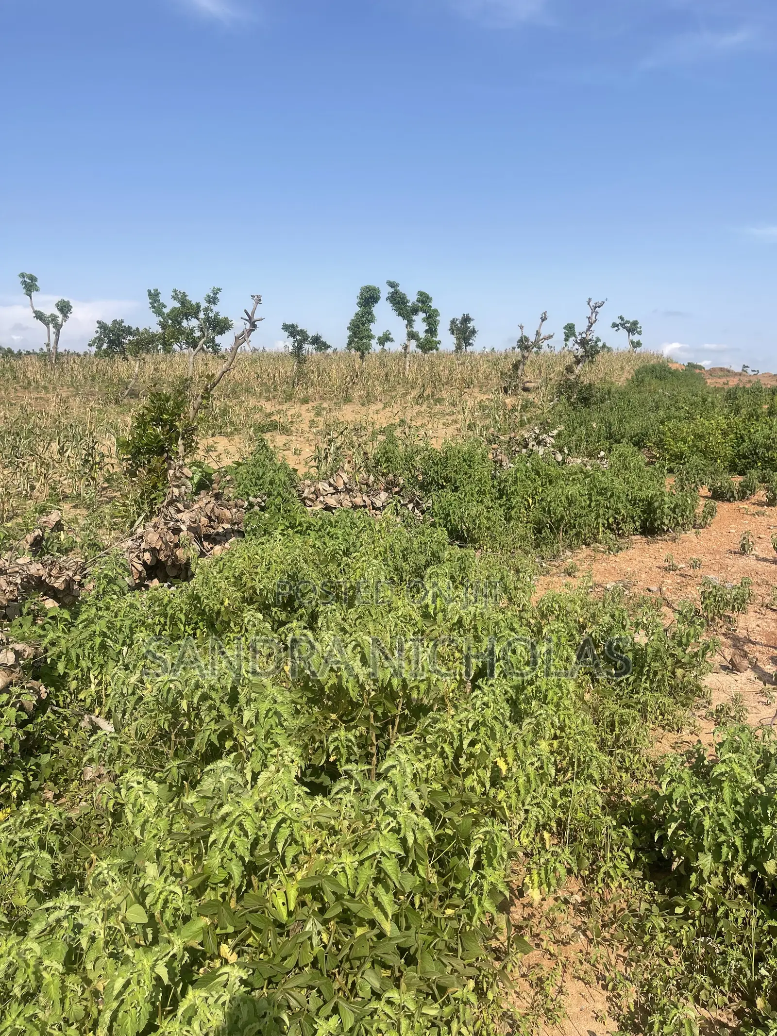 500qm Estate Plot for a 4 Bedroom Fully Detached Penthouse and Bq in Guzape District