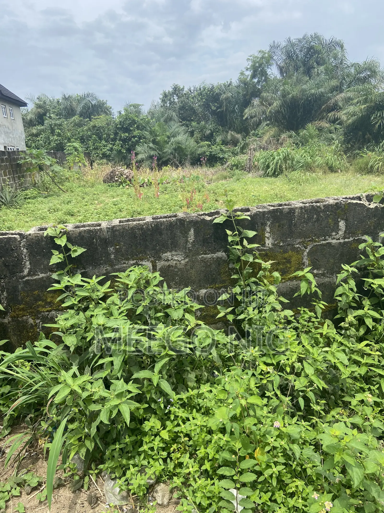 Dry Land for Sale Ogunfayo Ibeju Lekki Lagos in Awoyaya