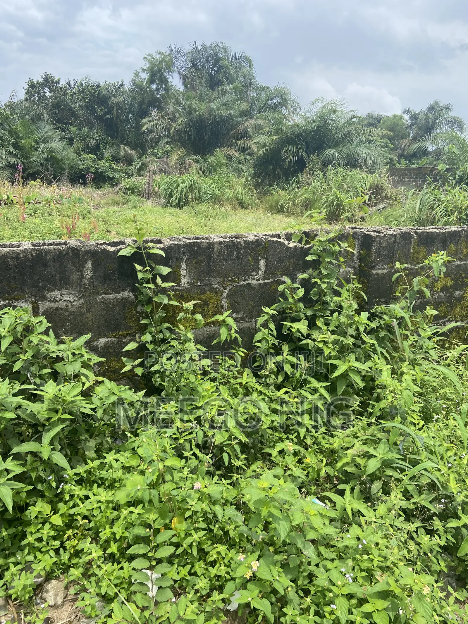 Dry Land for Sale Ogunfayo Ibeju Lekki Lagos in Awoyaya