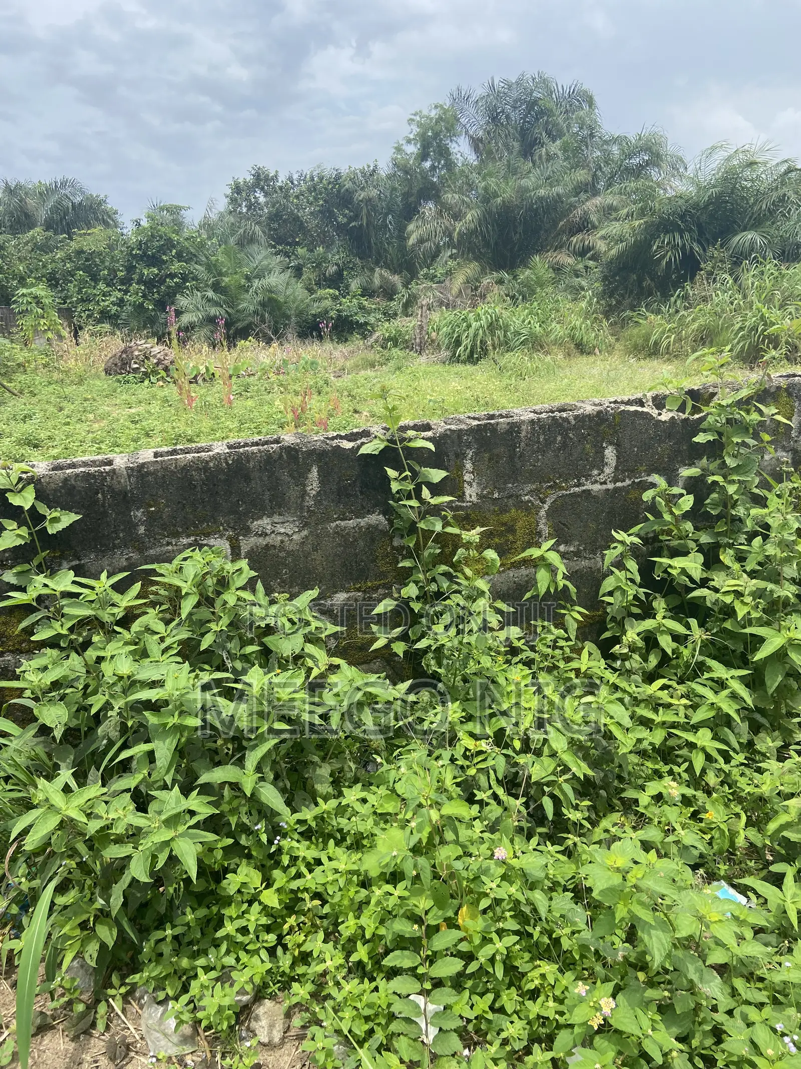 Dry Land for Sale Ogunfayo Ibeju Lekki Lagos in Awoyaya