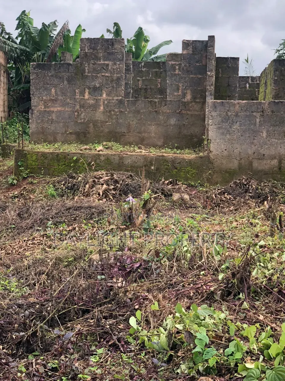 4bdrm Bungalow in Daylight Property, Benin City for Sale in Benin City