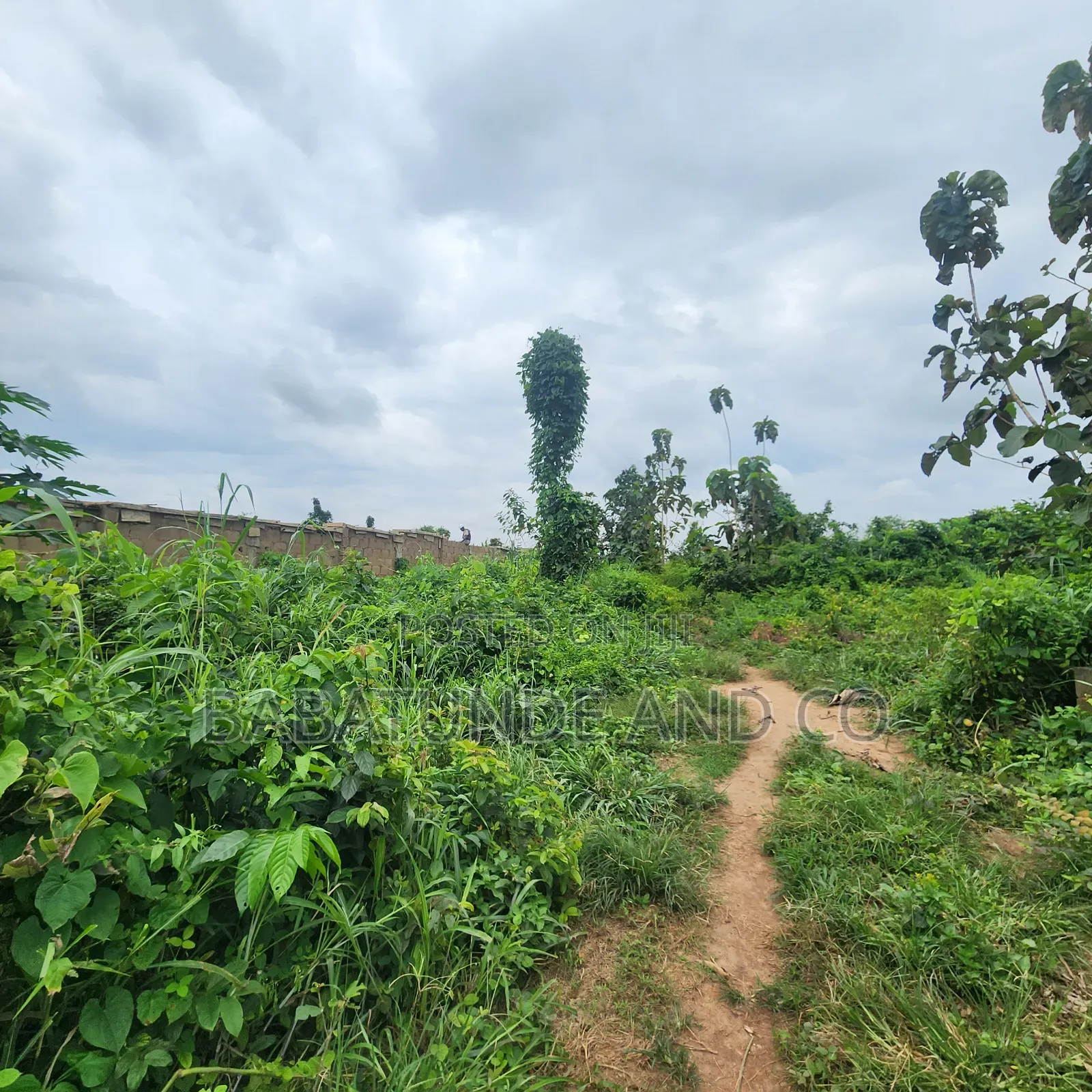 5.3acres of Land (22,593sqm) With CofO at Badeku Ibadan in Iwo Road