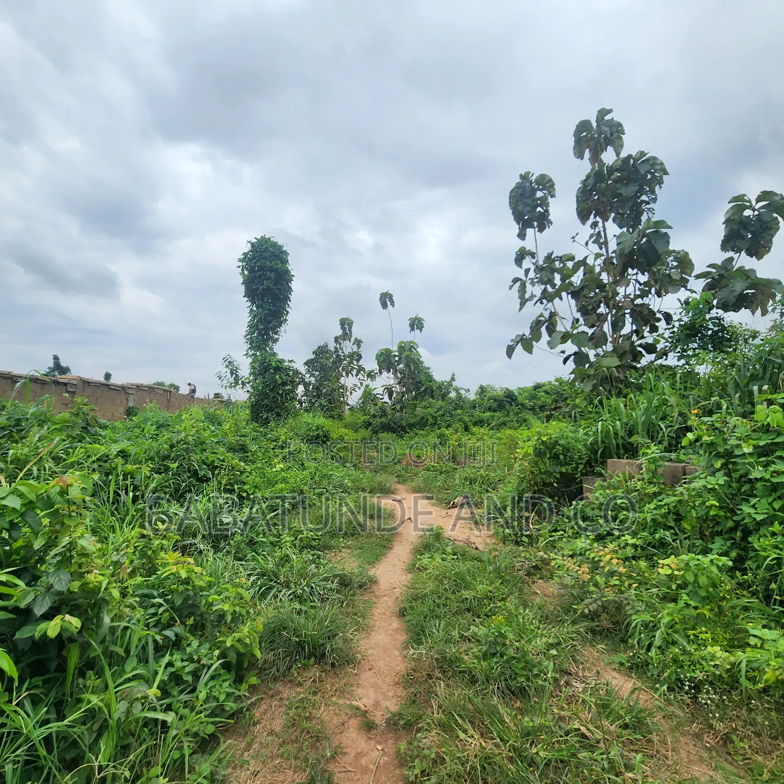 5.3acres of Land (22,593sqm) With CofO at Badeku Ibadan in Iwo Road