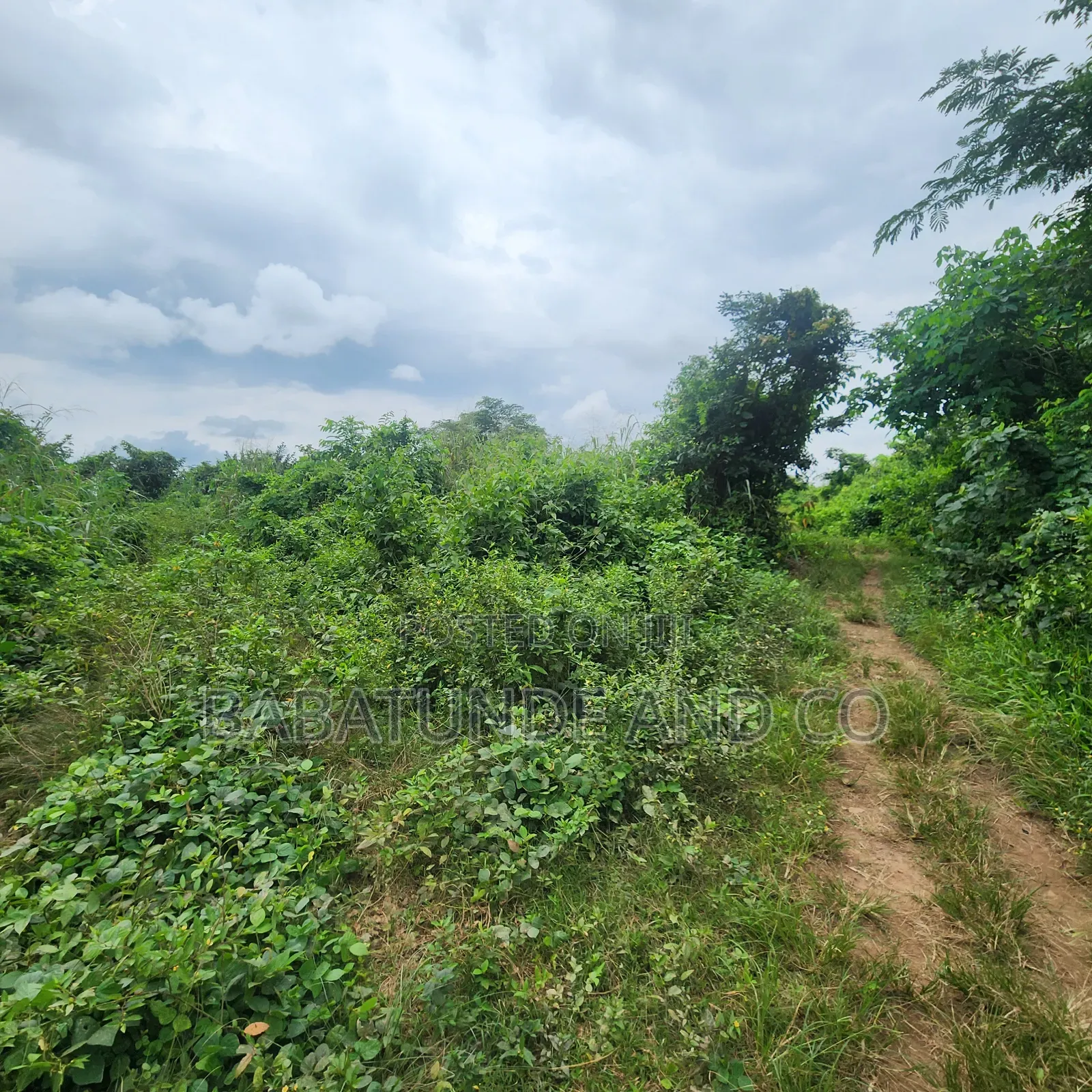 5.3acres of Land (22,593sqm) With CofO at Badeku Ibadan in Iwo Road