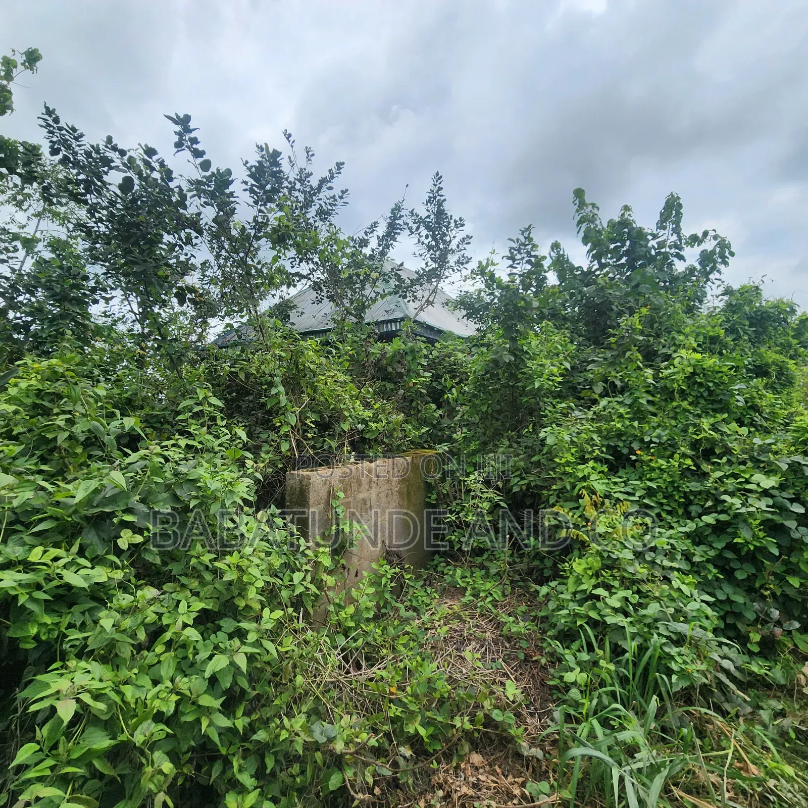 5.3acres of Land (22,593sqm) With CofO at Badeku Ibadan in Iwo Road