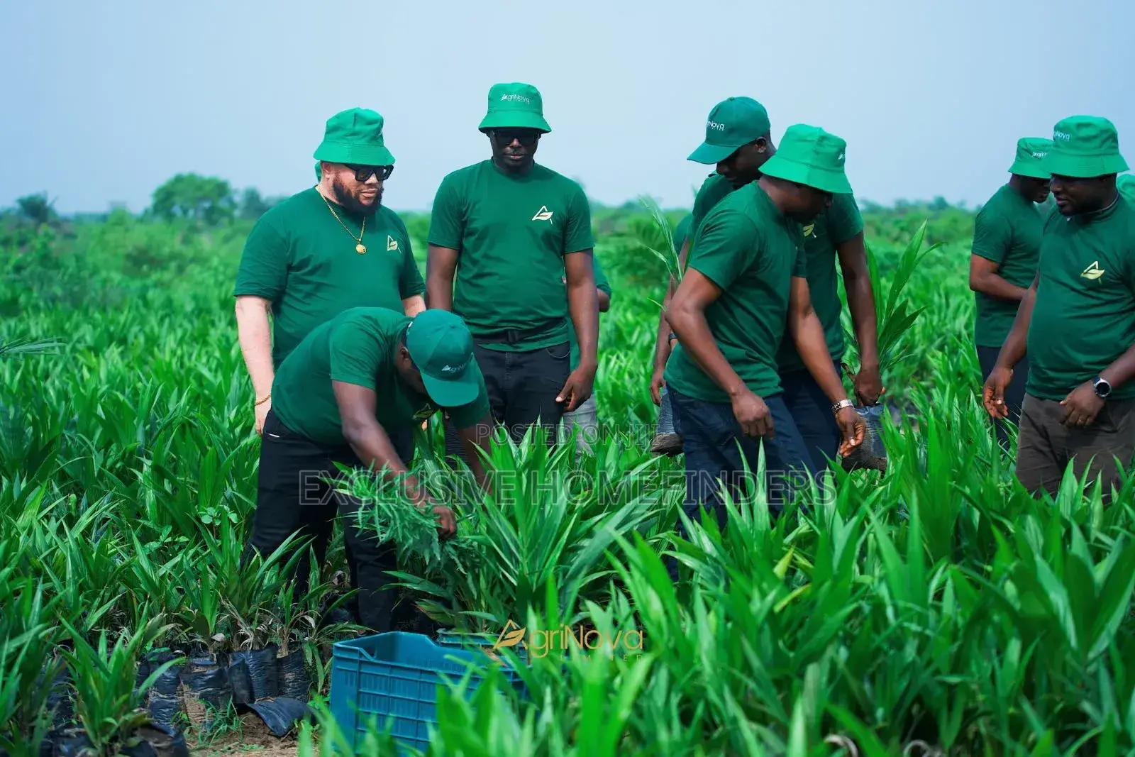 Investment Palm Farm Land With Harvest Income Potential – Abeokuta in Abeokuta North