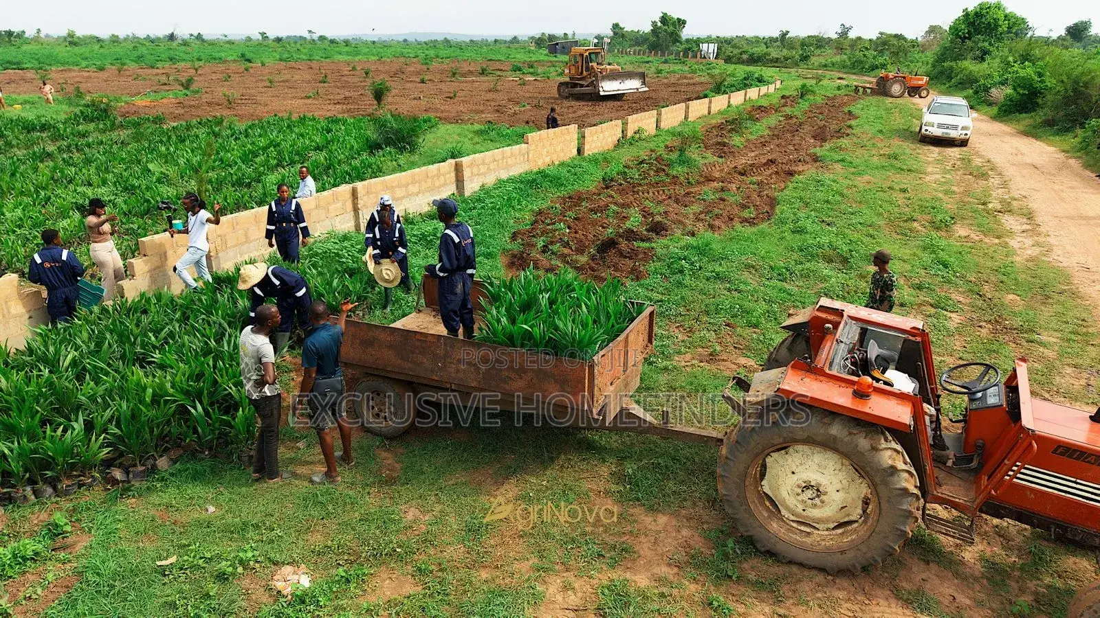 Investment Palm Farm Land With Harvest Income Potential – Abeokuta in Abeokuta North