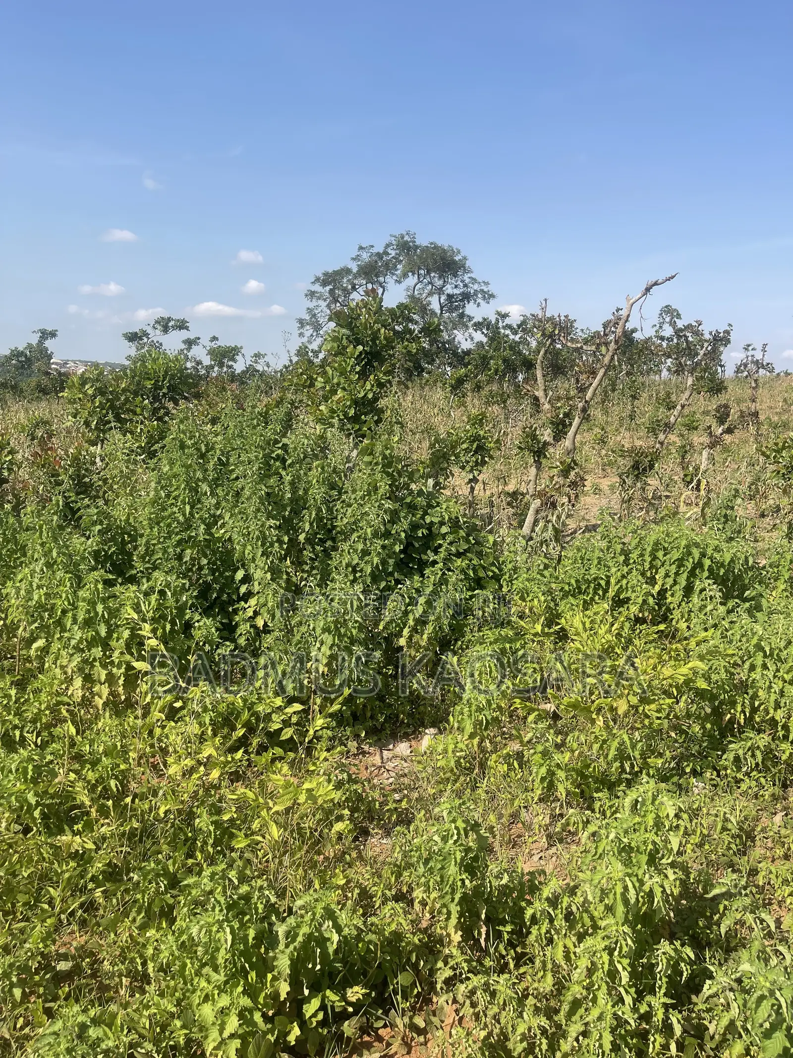 180SQM Estate Land Ideal for 2 Bedroom Terrace Duplex With C of O in Guzape District