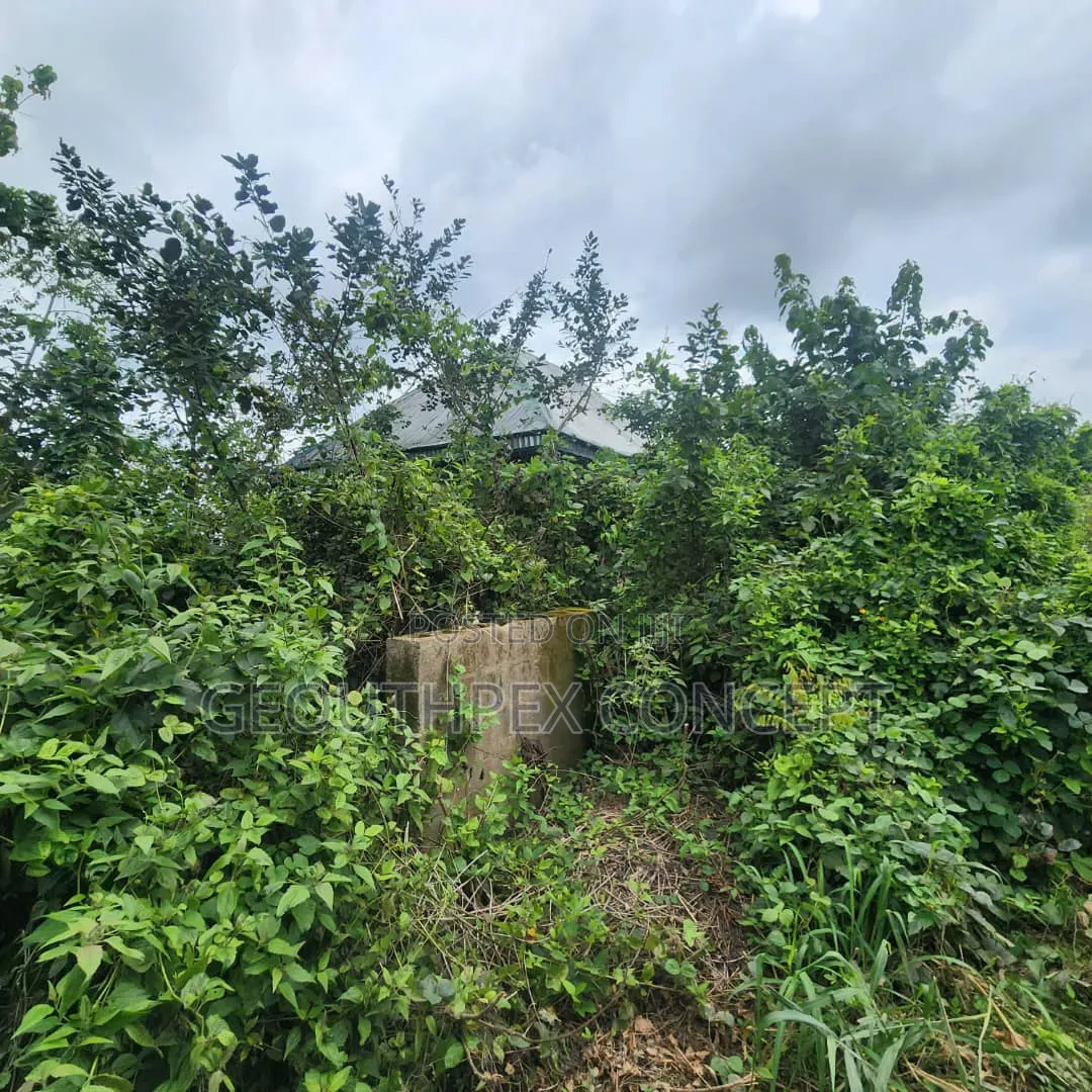 22,593sqm (5.3Acres) Parcel of Land With C of O for Sale at Badeku in Ona-Ara