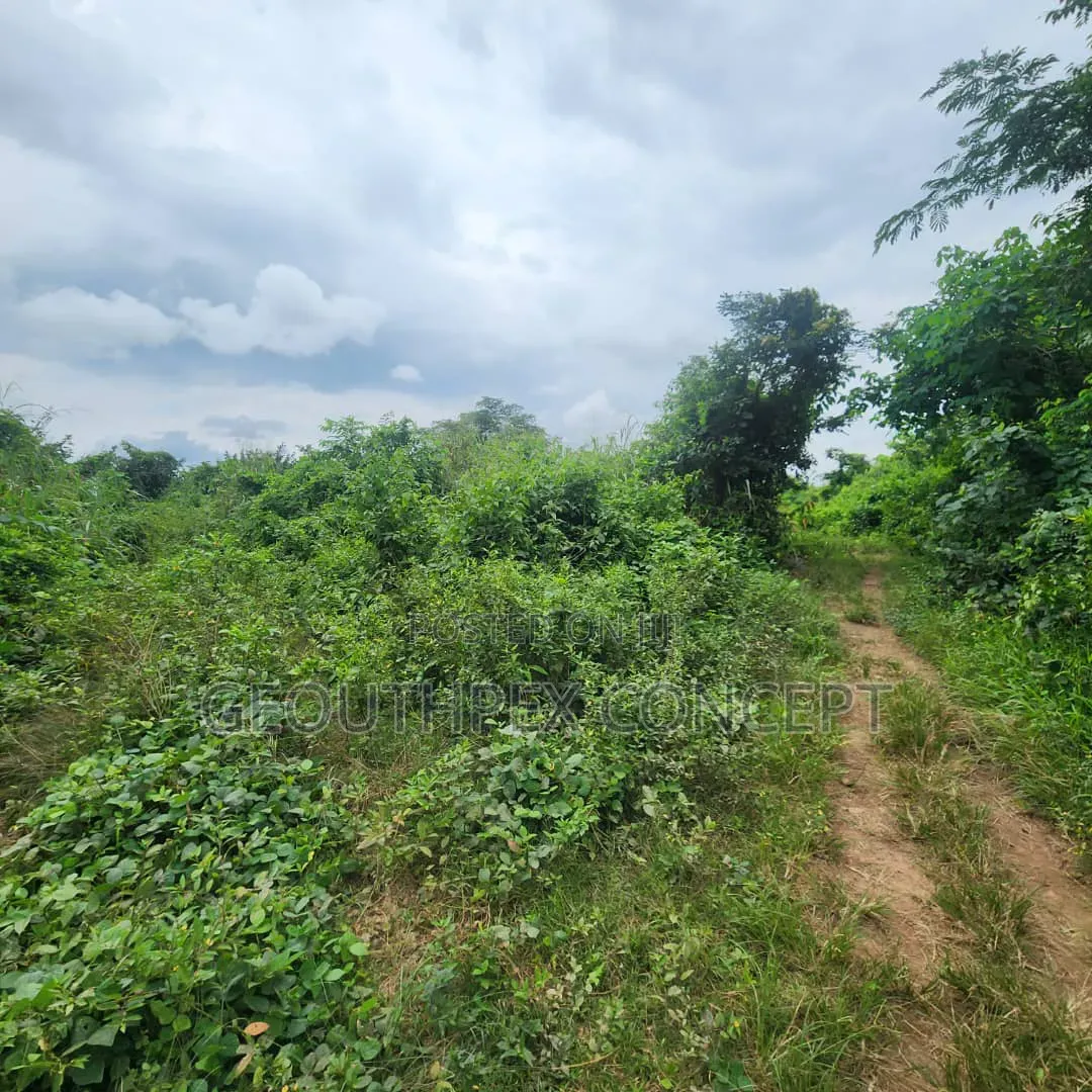 22,593sqm (5.3Acres) Parcel of Land With C of O for Sale at Badeku in Ona-Ara