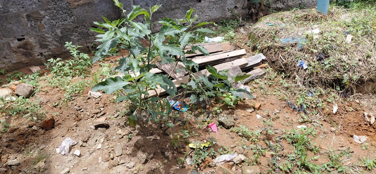 3600sqm (1 Acre) Onyingbo Market Ebuta Meta Lagos in Ebute Metta