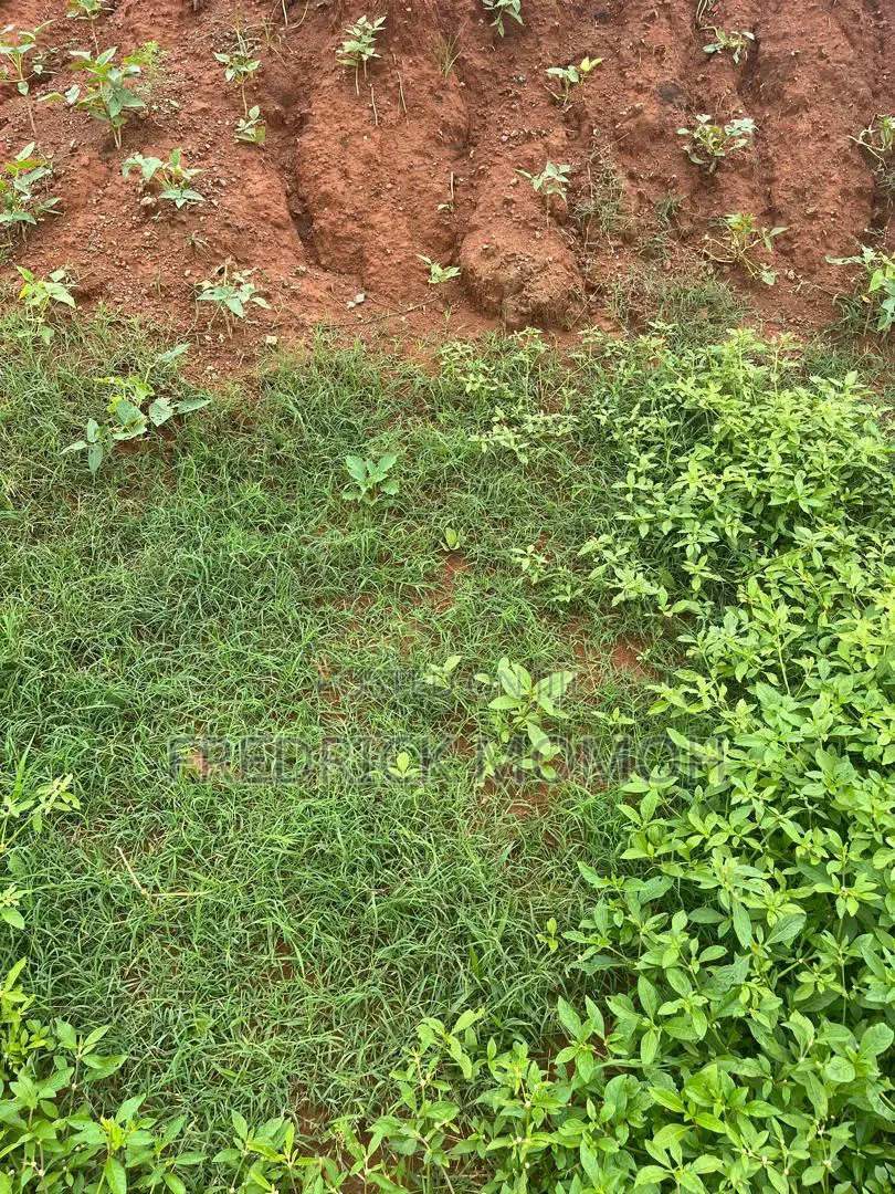 FCDA Approved Land for Sale at Pyakasa FCT Abuja in Pyakasa