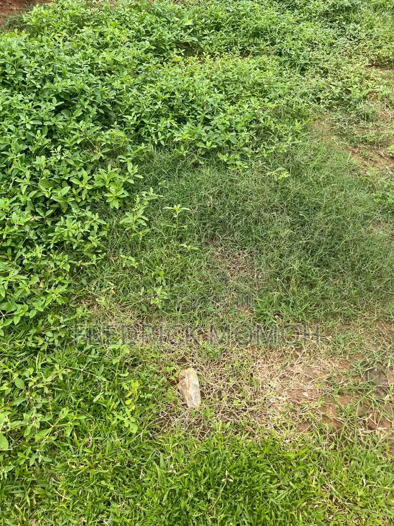 FCDA Approved Land for Sale at Pyakasa FCT Abuja in Pyakasa