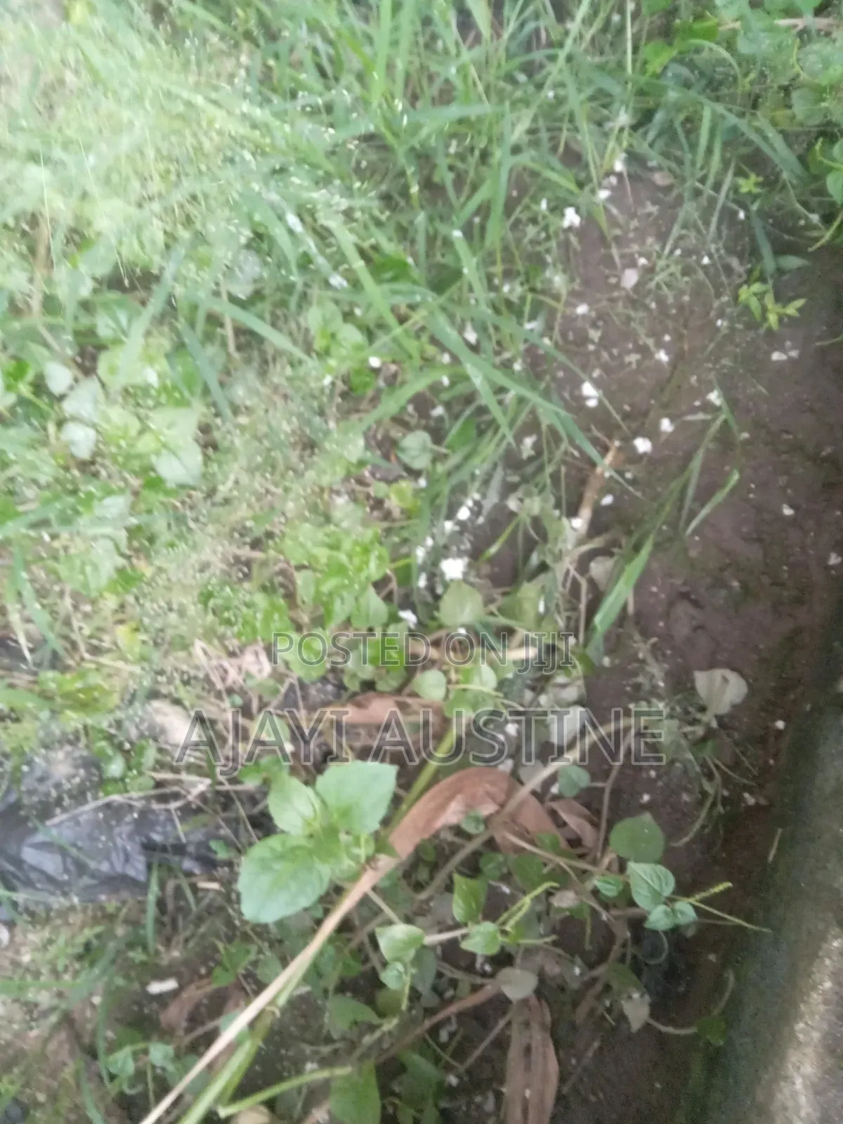 1,300 Square Meters Land at Maitama, Abuja for Sale in Maitama