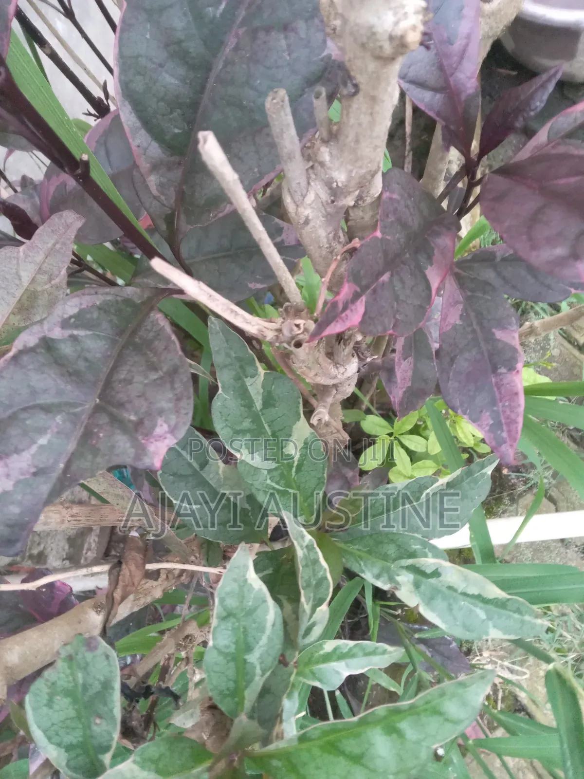 1,300 Square Meters Land at Maitama, Abuja for Sale in Maitama