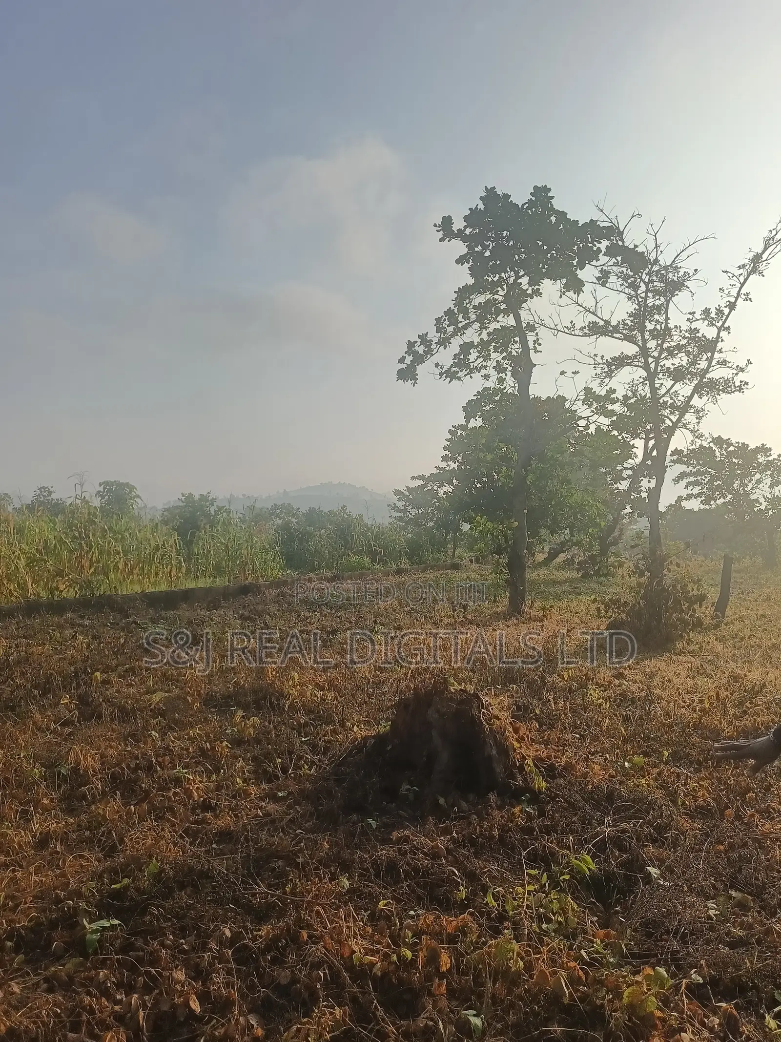 2,391 SQM Land in Maitama Main in Maitama