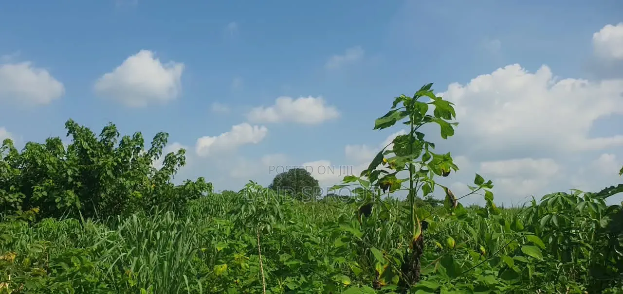 5 Acres of Land Available for Sale at Alako, Ido, Ibadan in Ido
