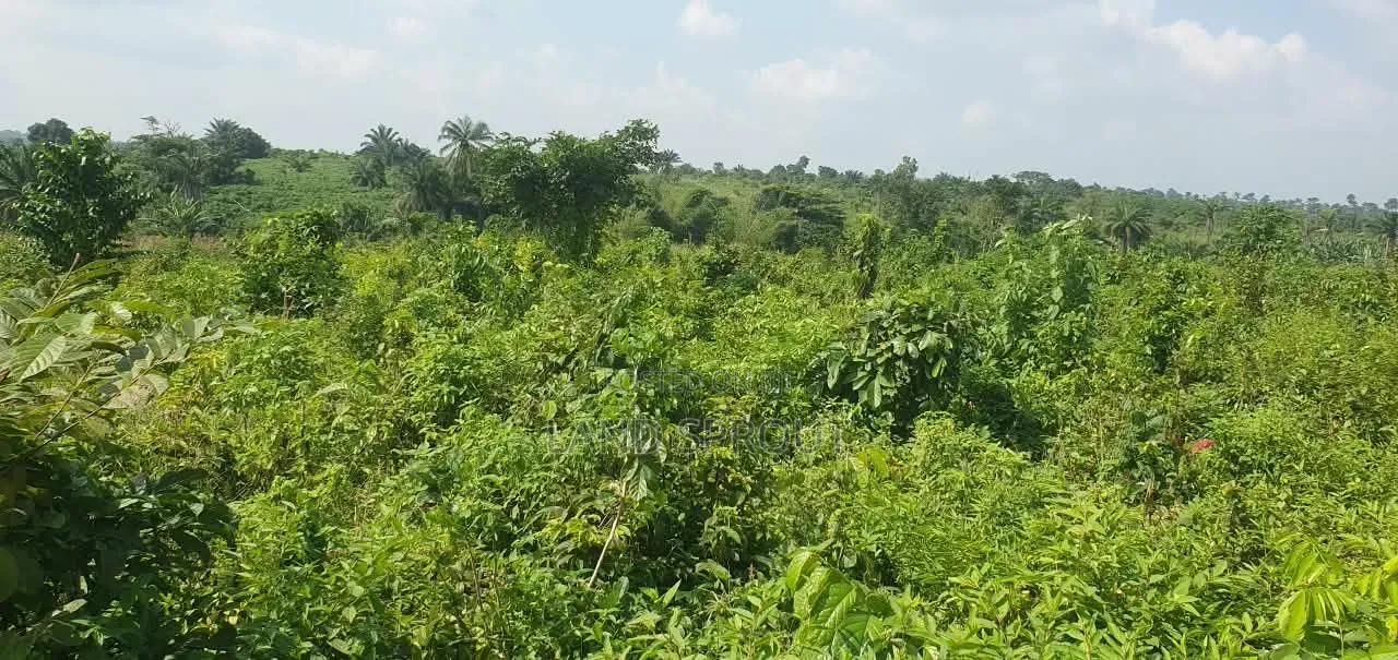 5 Acres of Land Available for Sale at Alako, Ido, Ibadan in Ido