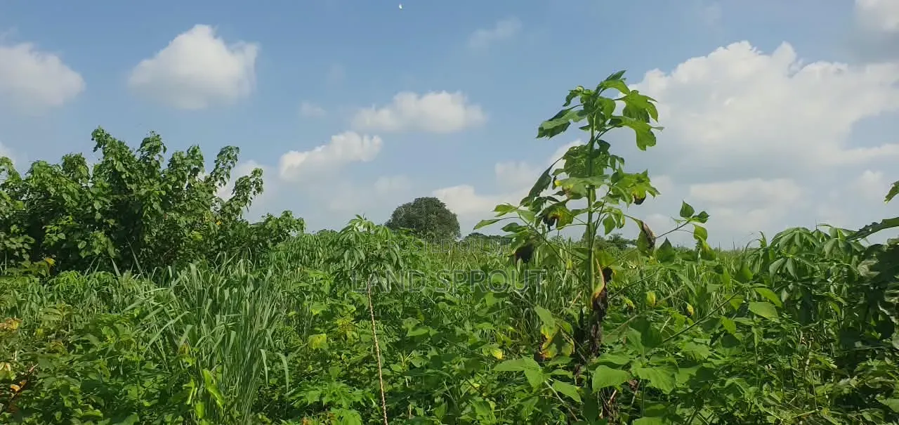 5 Acres of Land Available for Sale at Alako, Ido, Ibadan in Ido