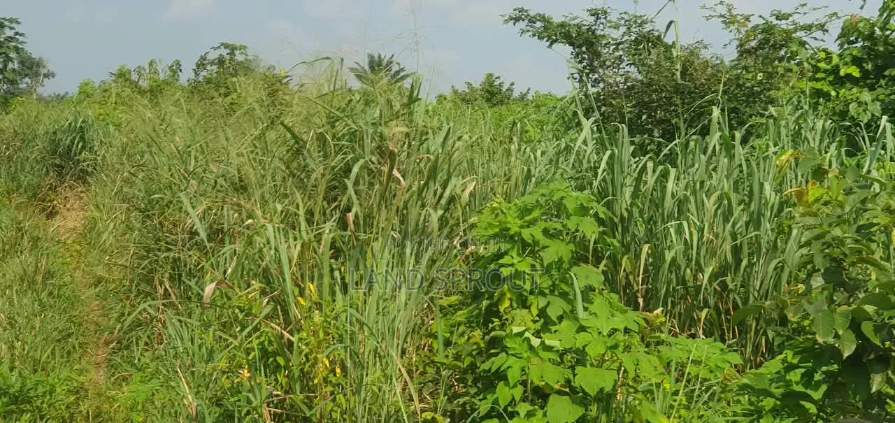 5 Acres of Land Available for Sale at Alako, Ido, Ibadan in Ido