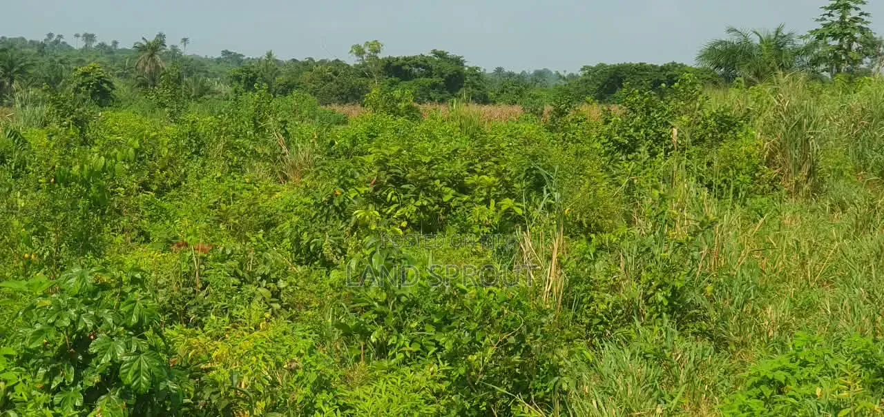 5 Acres of Land Available for Sale at Alako, Ido, Ibadan in Ido