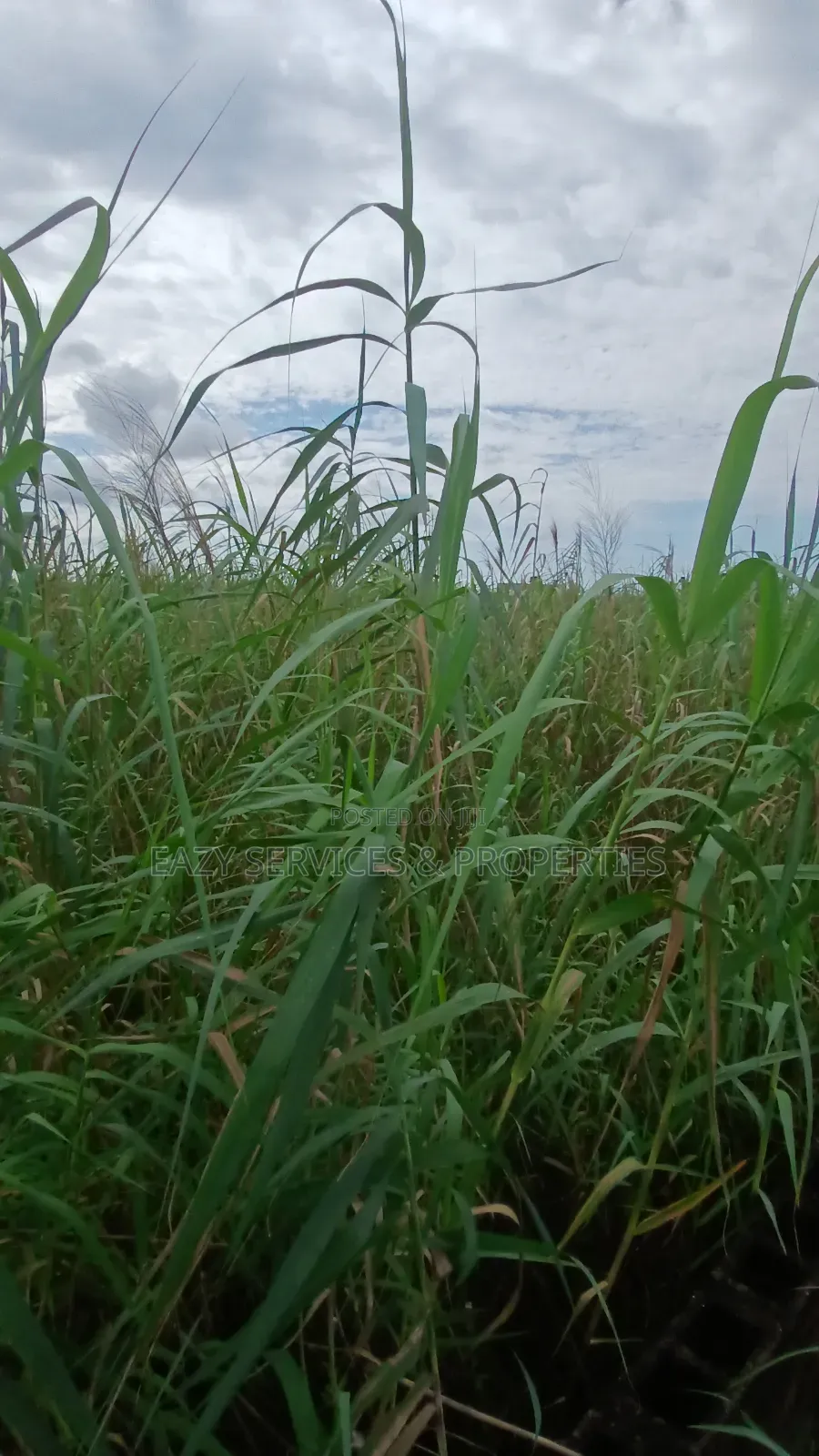 4plots of Oceanvew Land (Fenced Gated) in Ajah in Ado / Ajah