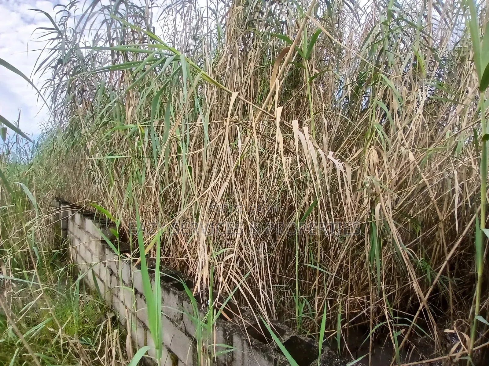 4plots of Oceanvew Land (Fenced Gated) in Ajah in Ado / Ajah