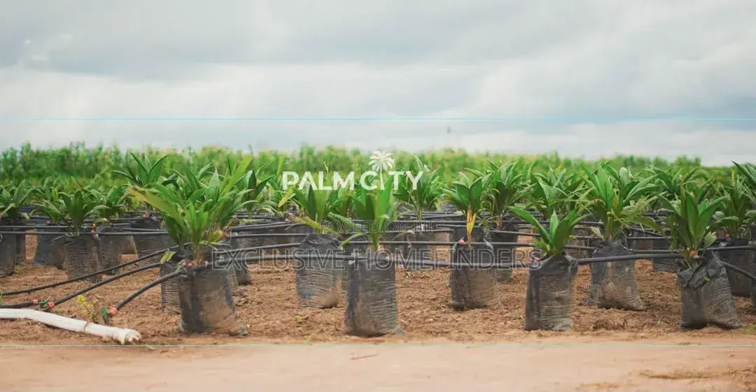 Strategic Investment Land – Palm City | Flexible Payment Plan in Ogbomosho / Ogbomosho South