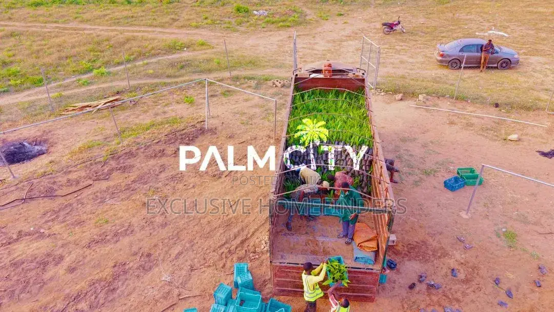 Strategic Investment Land – Palm City | Flexible Payment Plan in Ogbomosho / Ogbomosho South