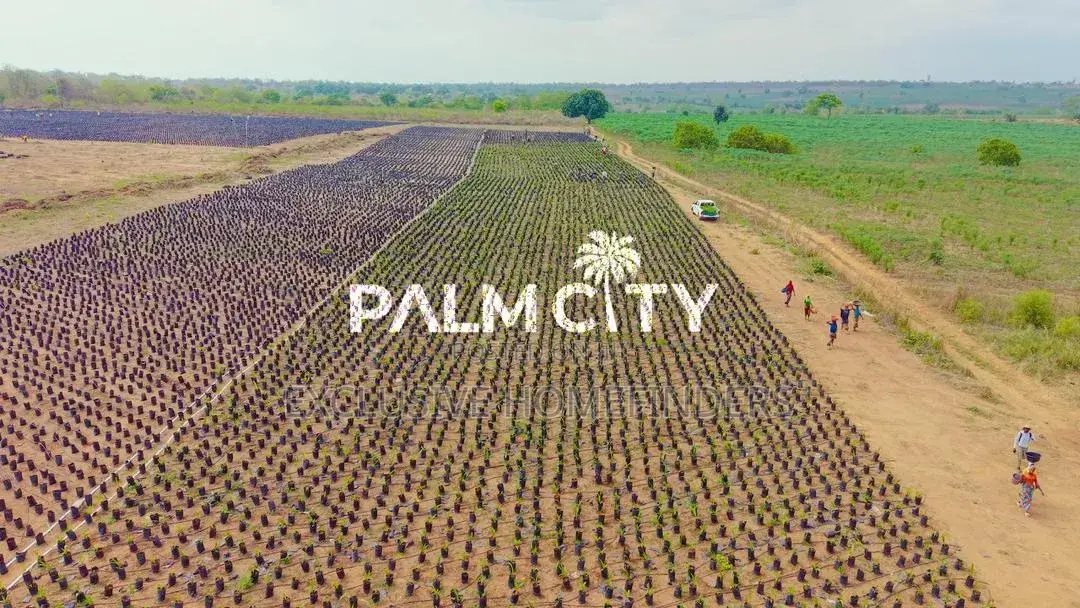 Strategic Investment Land – Palm City | Flexible Payment Plan in Ogbomosho / Ogbomosho South