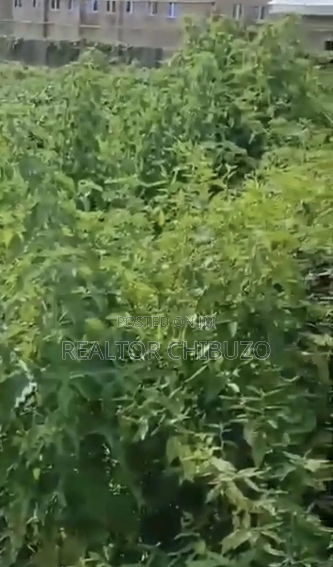 1.28 Commercial Plot at Wuye for Sale - 4.5bill in Wuye
