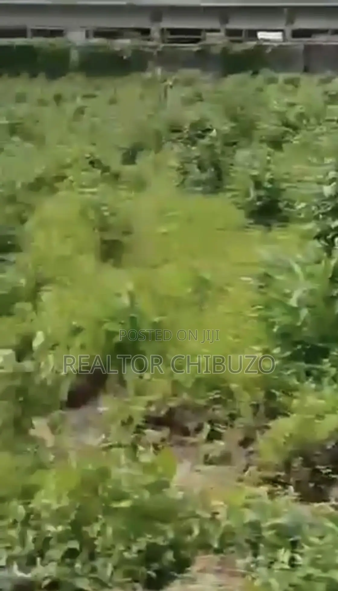 1.28 Commercial Plot at Wuye for Sale - 4.5bill in Wuye